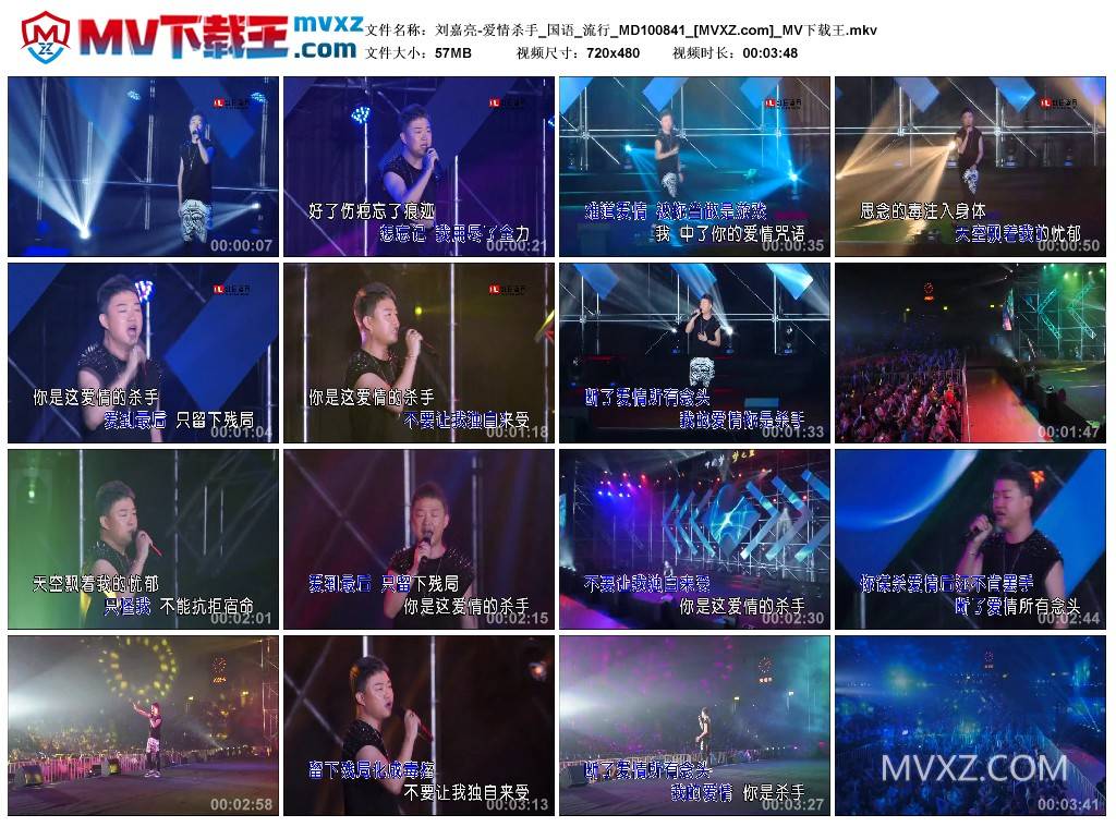 刘嘉亮-爱情杀手_国语_流行_MD100841